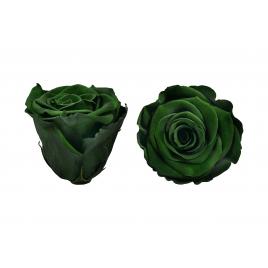 Trandafiri criogenati roseamour, marime xl, verde inchis