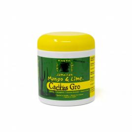 Tratament impotriva ruperii si degradarii paruluicactus groamaican mango and lime177 g