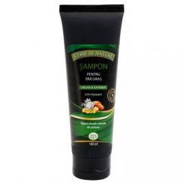 Sampon par gras argan&ghimbir 100ml