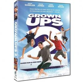 Oameni mari si fara minte 2 / Grown Ups 2[DVD][2013]