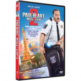 Paul Blart: Mall Cop 2 [DVD] [2015]