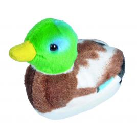 Pasare cu sunet rata salbatica - mallard duck