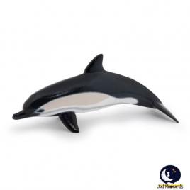 Papo-delfin comun cu cioc scurt