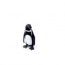 Pinguin humboldt figurina 10 cm