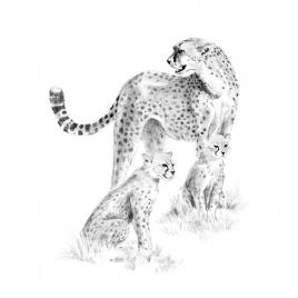 Crochiu incepatori-cheetah cu pui 22x29 cm