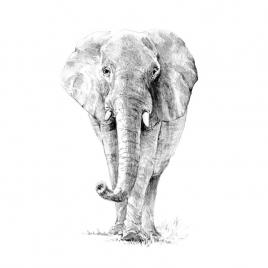 Crochiu incepatori-elefant 22x29 cm