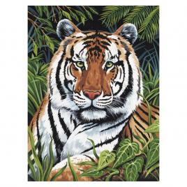 Prima pictura pe numere junior mica - tigru ascuns