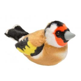 Pasare cu sunet sticlete - european goldfinch