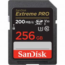 Sd card 256gb cl10 sdsdxxd-256g-gn4in