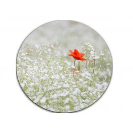 Mousepad floare de mac 20 x 20 cm, creative rey®