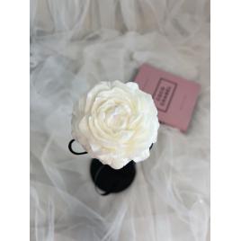 Peony