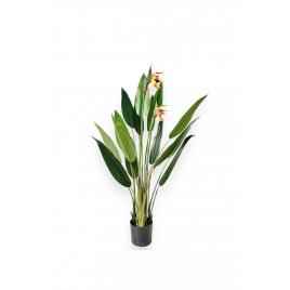 Planta artificiala premium strelitzia 150cm