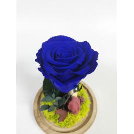 Trandafir criogenat rosu in cupola de sticla 16×12 cm