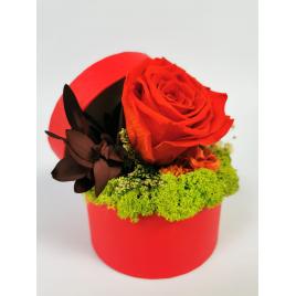 Aranjament floral cu trandafir criogenat, licheni stabilizati in cutie rosie