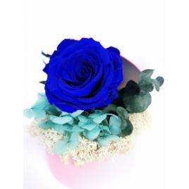 Aranjament floral cu trandafir criogenat, licheni stabilizati in cutie roz