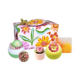 Set bile de baie Bloom, 5 produse, Bomb Cosmetics