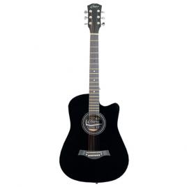 Chitara acustica 38