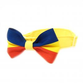 Zgarda galbena cu fundita tricolor 20 - 40 cm