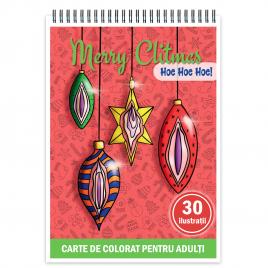 Carte de colorat haioasa antistress pentru adulti 30 de ilustratii Vulva - editia de Craciun 66 pagini