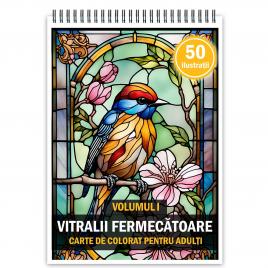 Carte de colorat antistres format A3 50 de ilustratii Vitralii Fermecatoare - Volumul I 106 pagini