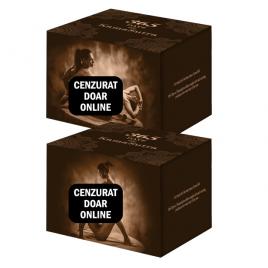 Joc de carti erotic pentru cupluri si adulti cu pozitii si cartonase grafice 365 Days of Kamasutra limba engleza