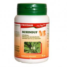 Schinduf 40cps favisan