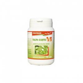 Talpa gastei 70cps favisan