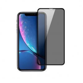 Set 2 folii de sticla 5D Apple iPhone XS MAX Privacy Glassfolie securizata duritate 10H