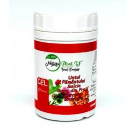 Gel u.pam&salcie&s.praid&curcum.250ml