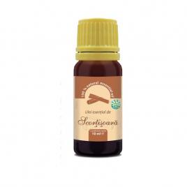 Ulei esential de scortisoara 10ml (uz extern)