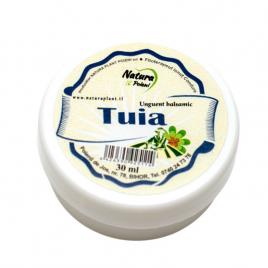 Unguent balsamic tuia 30ml