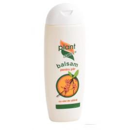 Balsam pt par cu catina 200ml
