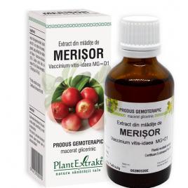 Extract din mladite de merisor 50ml