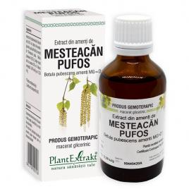 Extract din amenti de mesteacan pufos 50ml