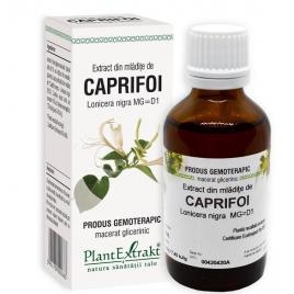 Extract din mladite de caprifoi 50ml