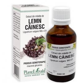 Extract din mladite de lemn cainesc 50ml