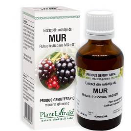 Extract din mladite de mur 50ml