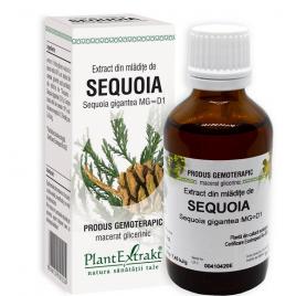 Extract din mladite de sequoia 50ml
