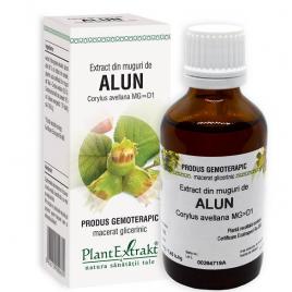 Extract din muguri de alun 50ml