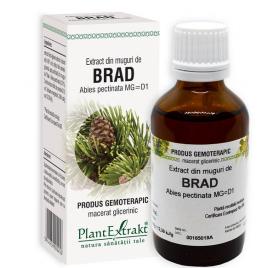 Extract din muguri de brad 50ml