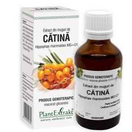 Extract din muguri de catina 50ml