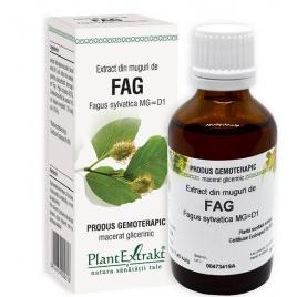Extract din muguri de fag 50ml