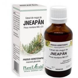Extract din muguri de jneapan 50ml