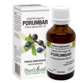 Extract din muguri de porumbar 50ml