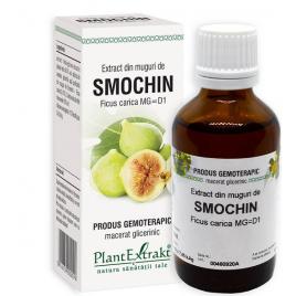Extract din muguri de smochin 50ml