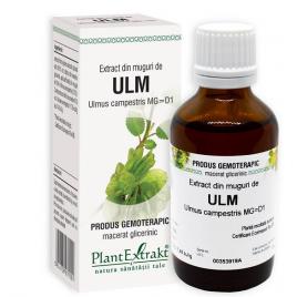 Extract din muguri de ulm 50ml