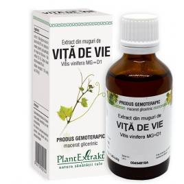 Extract din muguri de vita de vie 50ml