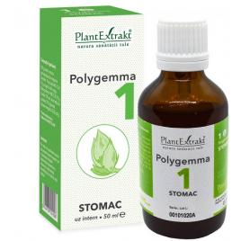 Polygemma 1 stomac 50ml
