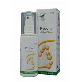Propolis spray 100ml