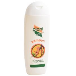 Sampon cu catina-par degradat 200ml